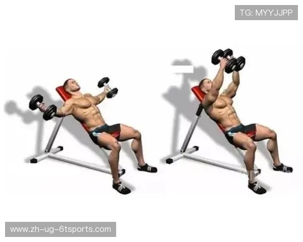 健身器材锻炼胸部肌肉的有效方法解析