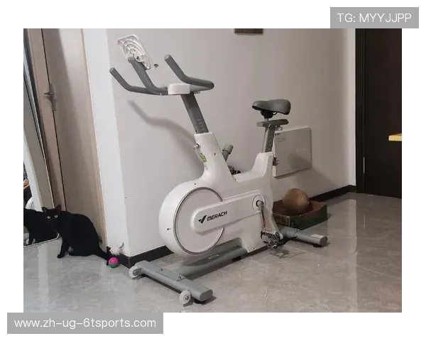 家庭小型健身器材大全推荐及功能选购指南